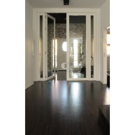 Drzwi Addera z naświetlami bocznymi