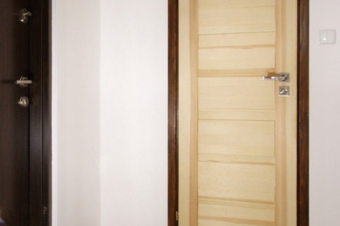 Drzwi Moderna Jesion