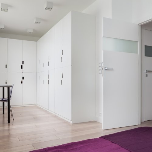 Drzwi rozwierne bezprzylgowe 